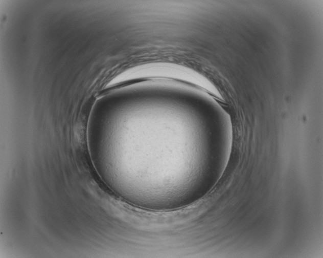 X0000085010035200703191127