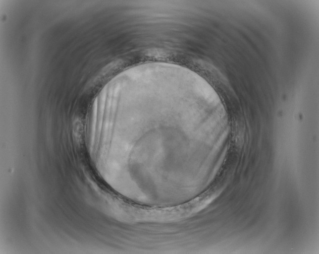 X0000085010036200703191127