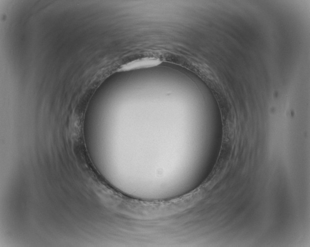 X0000085010037200703191127