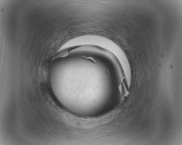 X0000085010039200703191127