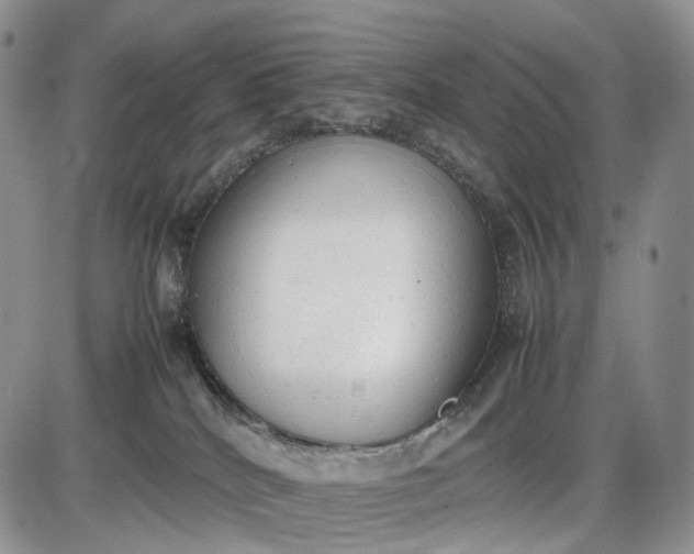 X0000085010040200703191127