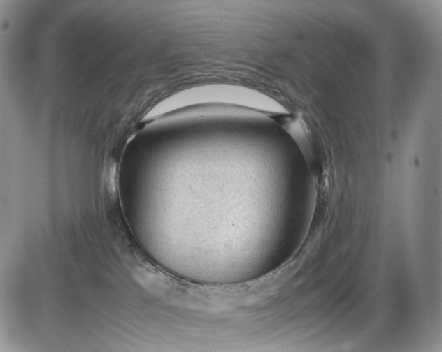 X0000085010041200703191127