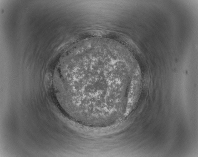 X0000085010043200703191127