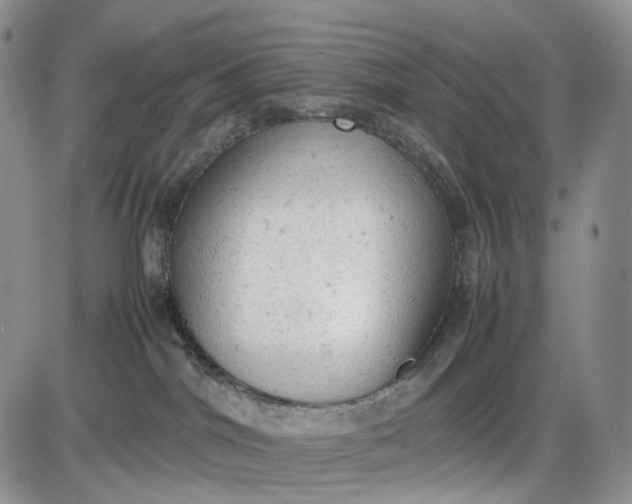 X0000085010044200703191127