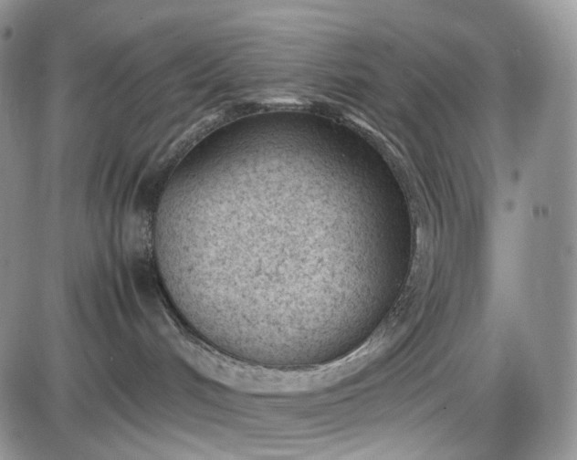 X0000085010048200703191127