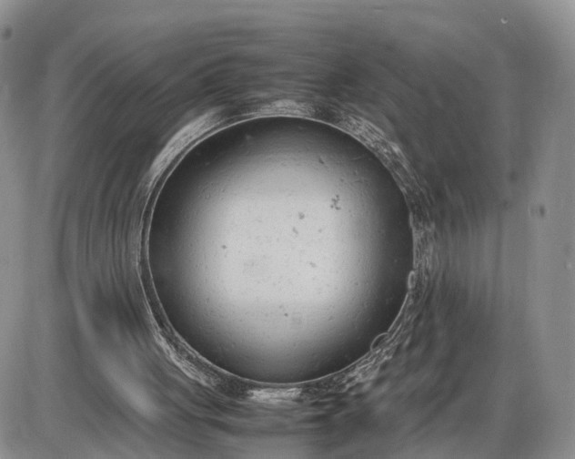 X0000085010051200703191126