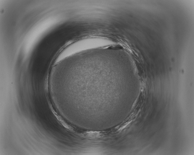 X0000085010052200703191126