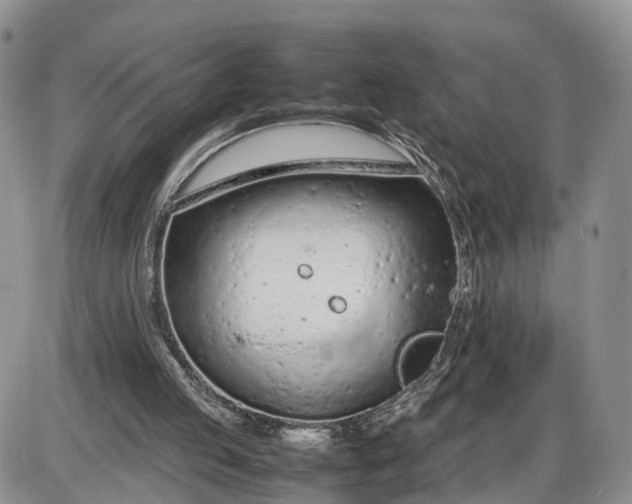 X0000085010053200703191126