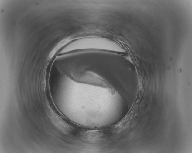 X0000085010054200703191126