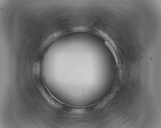 X0000085010057200703191126