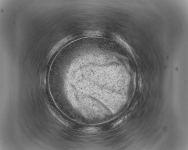 X0000085010059200703191126