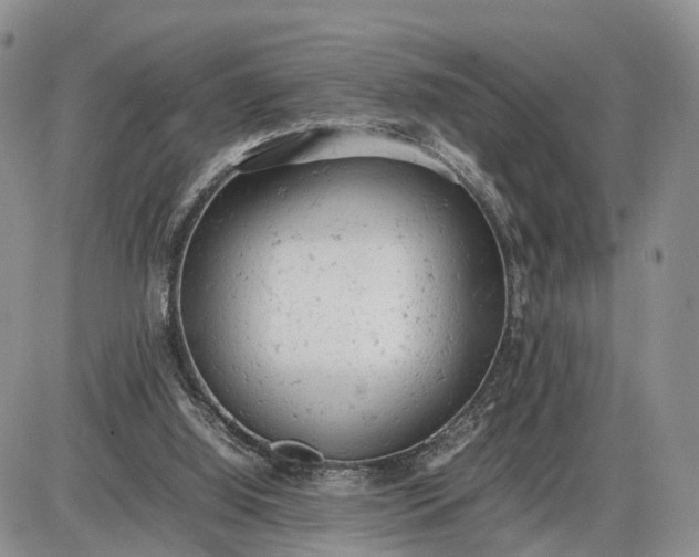 X0000085010060200703191126