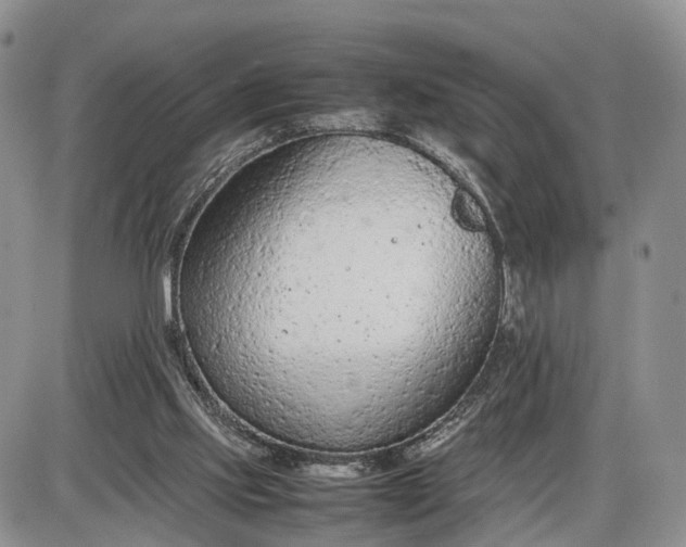 X0000085010061200703191126