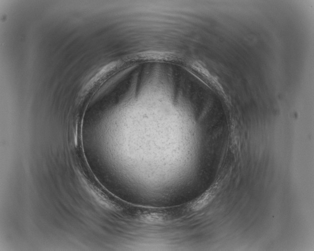 X0000085010062200703191126