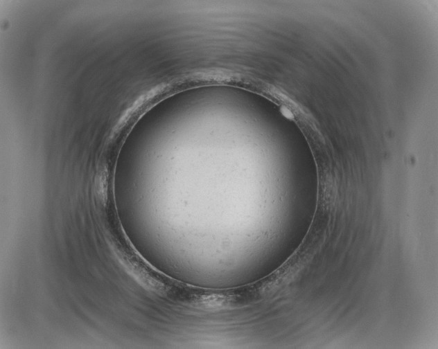 X0000085010064200703191126