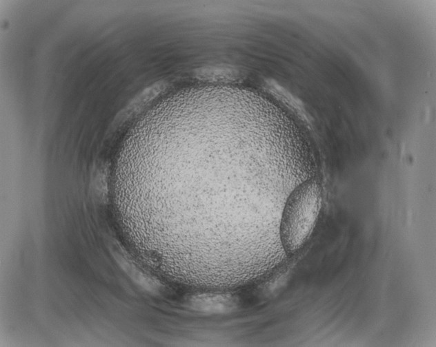 X0000085010065200703191126