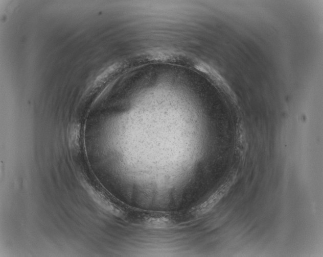 X0000085010066200703191126