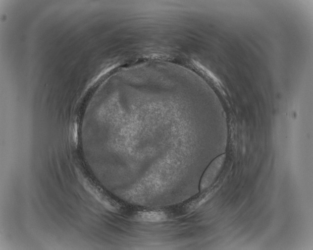 X0000085010067200703191126