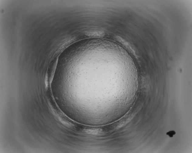 X0000085010069200703191126