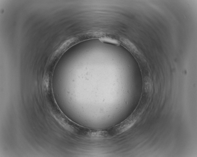 X0000085010072200703191126