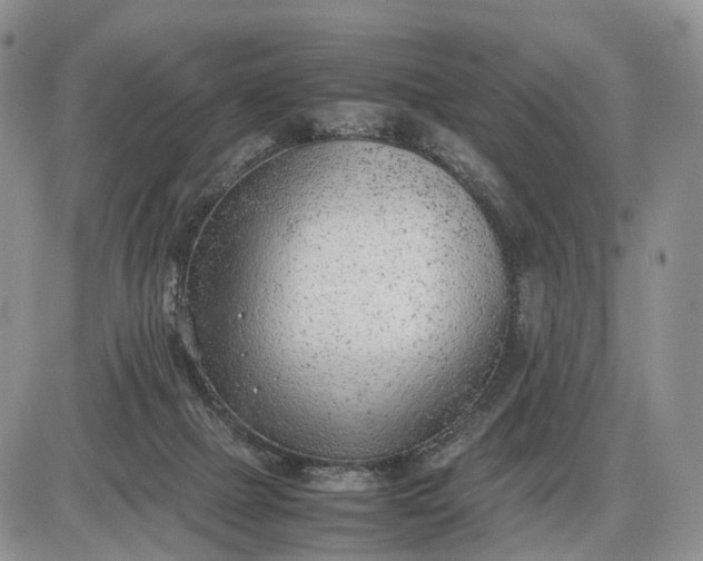 X0000085010073200703191126