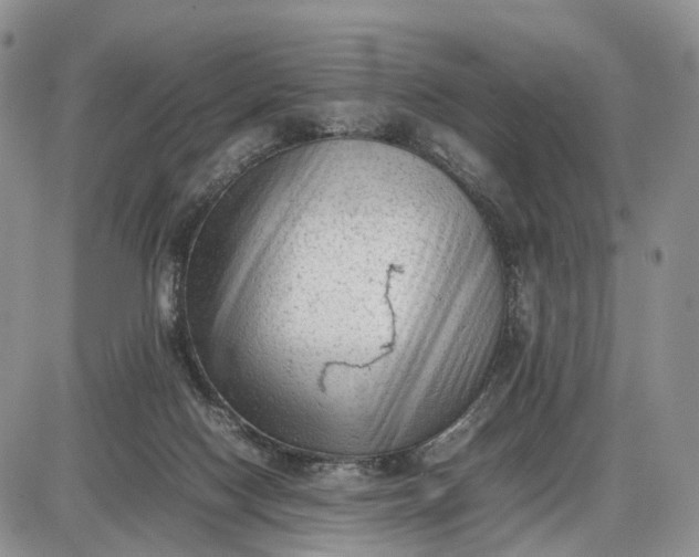 X0000085010074200703191126