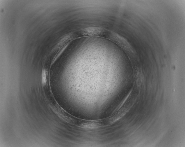 X0000085010075200703191126