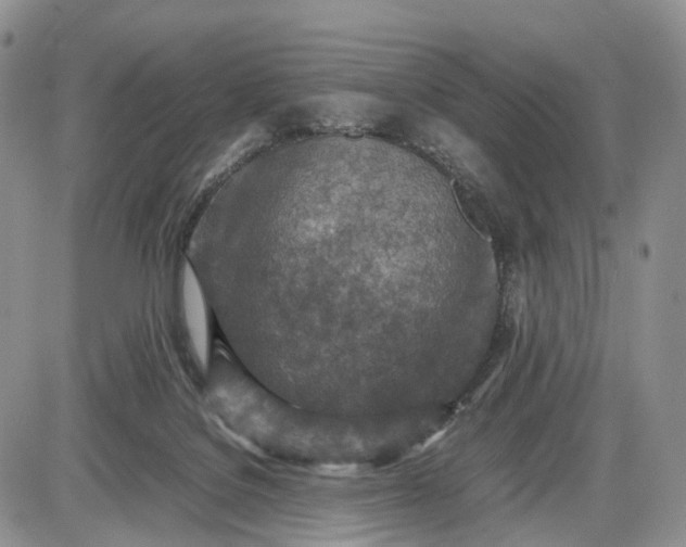 X0000085010076200703191126