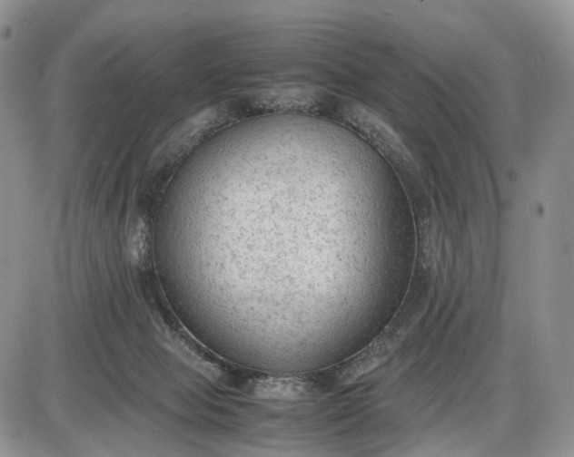 X0000085010077200703191126