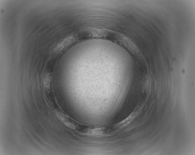 X0000085010078200703191126