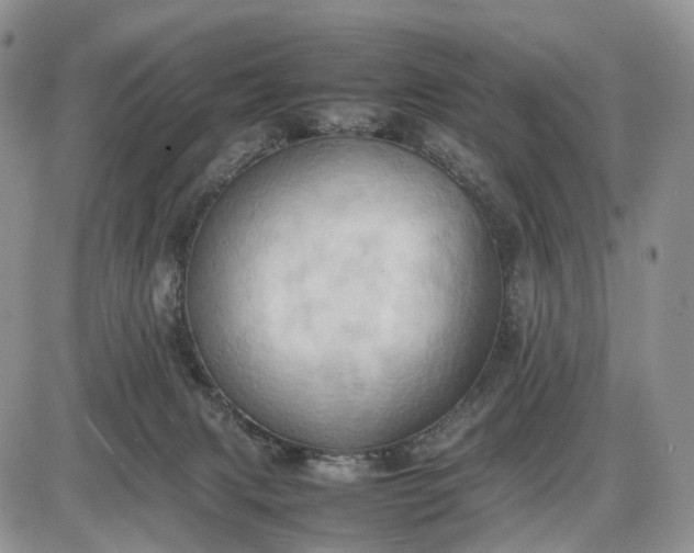 X0000085010079200703191126