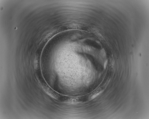 X0000085010080200703191126