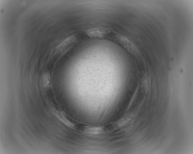 X0000085010081200703191126