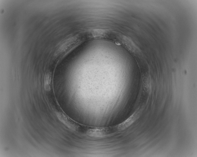 X0000085010082200703191126