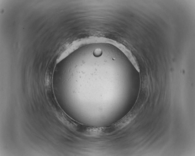 X0000085010084200703191126