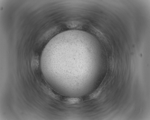 X0000085010085200703191126