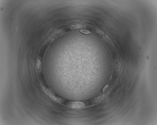 X0000085010087200703191126