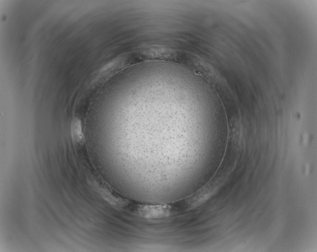 X0000085010089200703191126