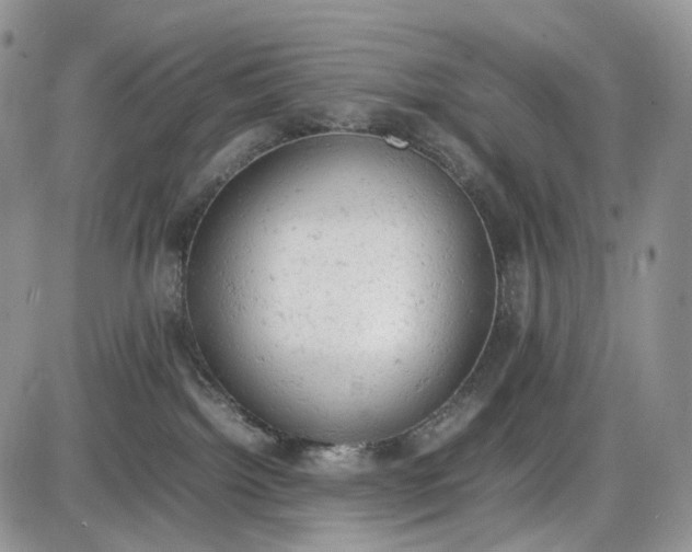 X0000085010092200703191126