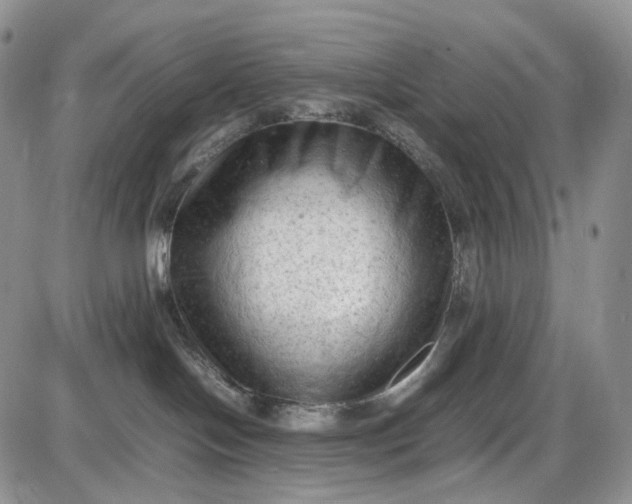 X0000085010094200703191126