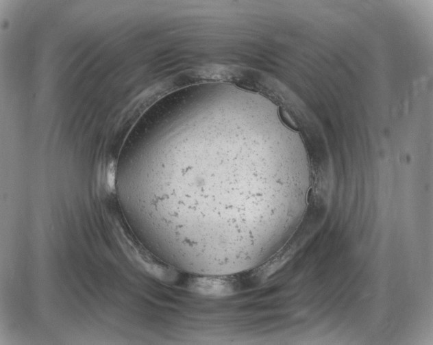 X0000085010095200703191127