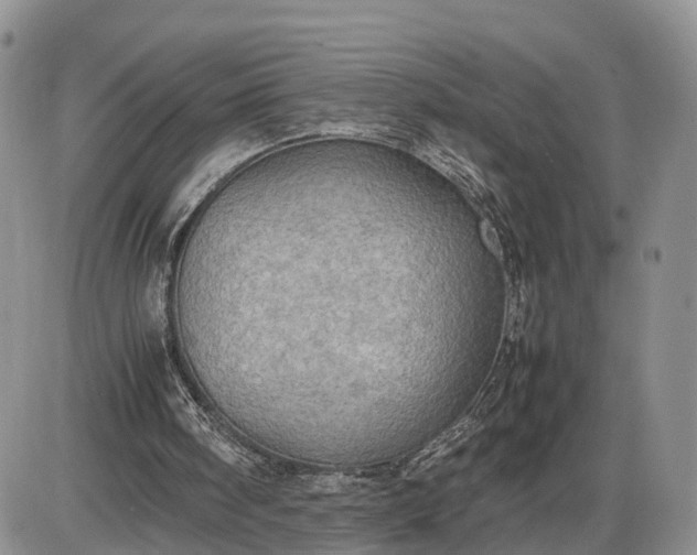 X0000085010098200703191126