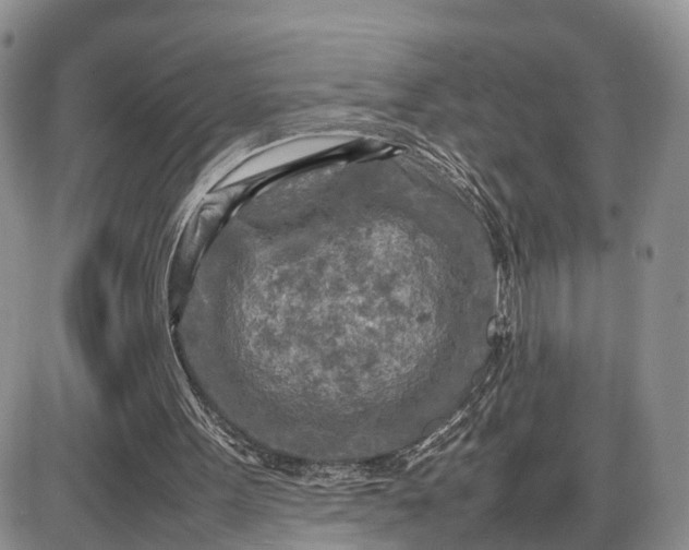 X0000085010099200703191126