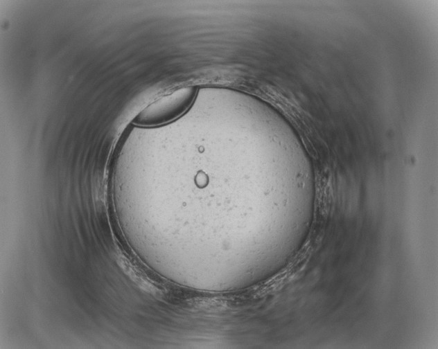 X0000085010100200703191126