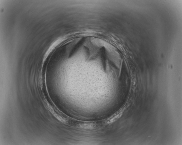 X0000085010102200703191126