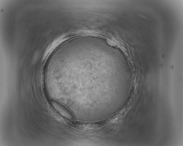 X0000085010103200703191126