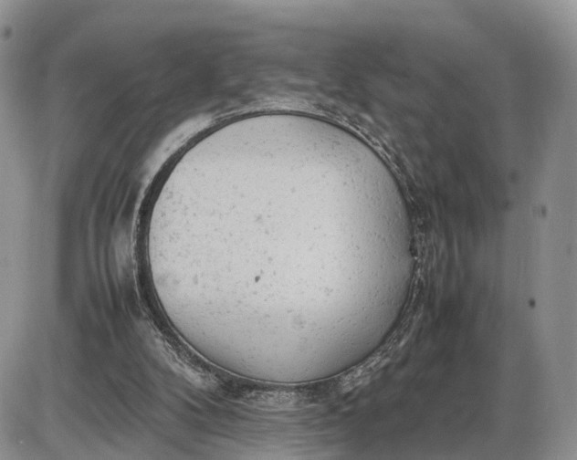 X0000085010104200703191126