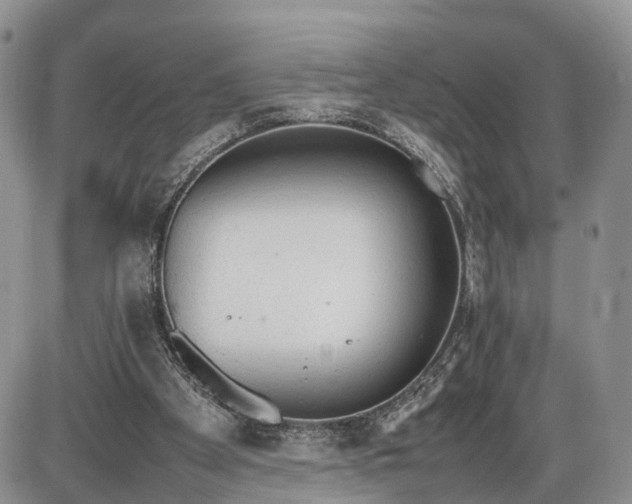 X0000085010105200703191126