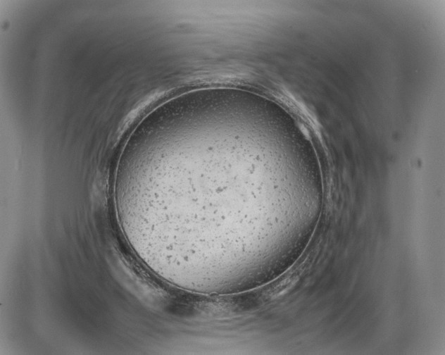 X0000085010107200703191126