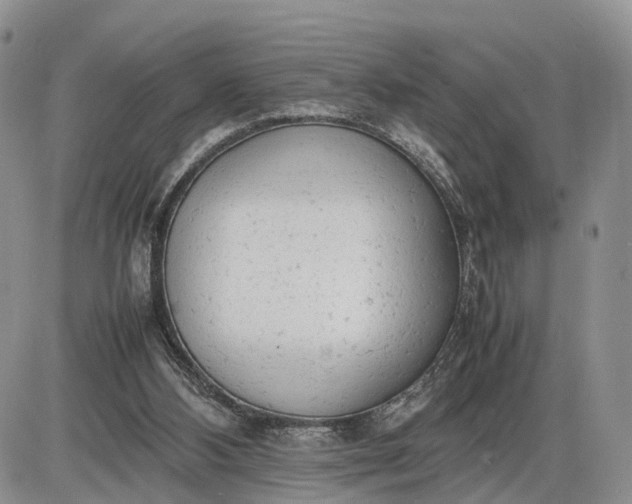 X0000085010108200703191126